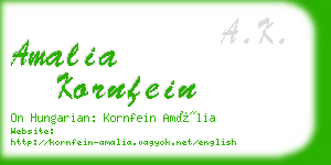 amalia kornfein business card